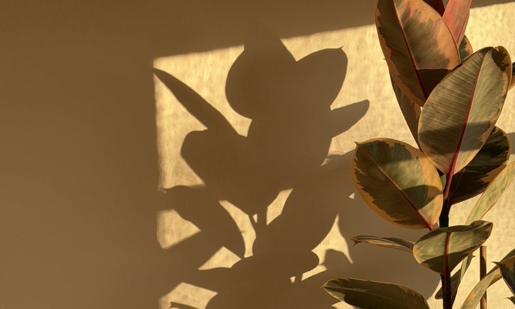 A calm Bloom Sugaring treatment room in Ocean Park for a fall sugaring aftercare guide